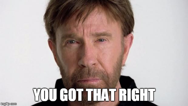 Chuck Norris | YOU GOT THAT RIGHT | image tagged in chuck norris | made w/ Imgflip meme maker