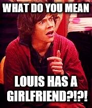Shocked One Direction | WHAT DO YOU MEAN LOUIS HAS A GIRLFRIEND?!?! | image tagged in shocked one direction | made w/ Imgflip meme maker