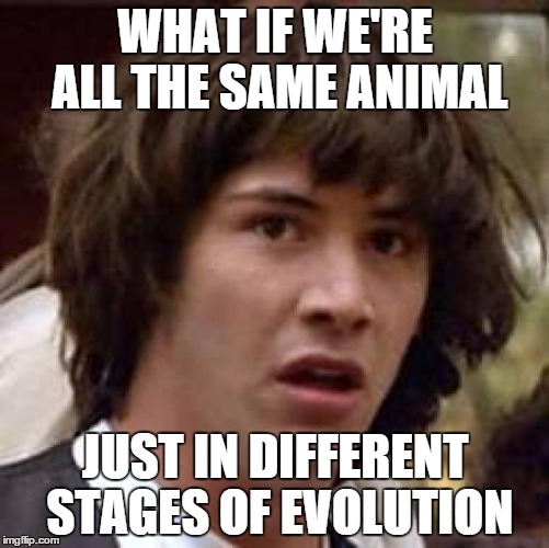 Conspiracy Keanu | WHAT IF WE'RE ALL THE SAME ANIMAL JUST IN DIFFERENT STAGES OF EVOLUTION | image tagged in memes,conspiracy keanu | made w/ Imgflip meme maker