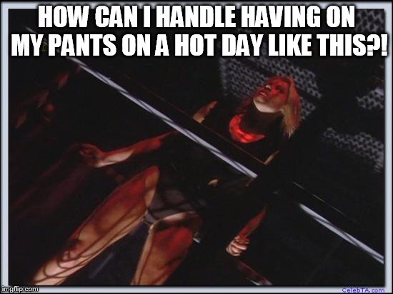 Jessica Collins | HOW CAN I HANDLE HAVING ON MY PANTS ON A HOT DAY LIKE THIS?! | image tagged in jessica collins | made w/ Imgflip meme maker