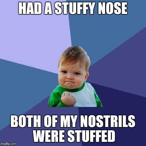 Success Kid | HAD A STUFFY NOSE BOTH OF MY NOSTRILS WERE STUFFED | image tagged in memes,success kid | made w/ Imgflip meme maker