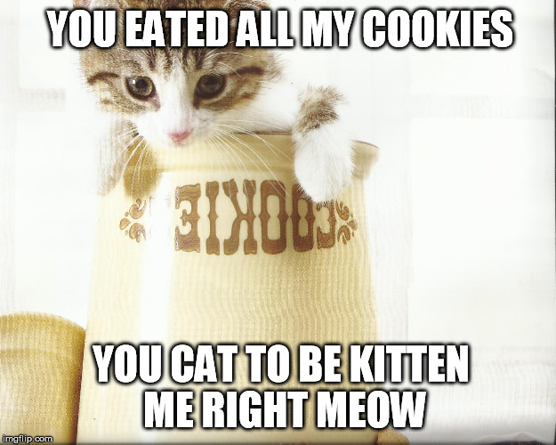 YOU CAT TO BE KITTEN ME RIGHT MEOW YOU EATED ALL MY COOKIES | image tagged in cookies,kittens | made w/ Imgflip meme maker