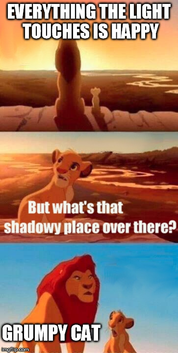 Simba Shadowy Place | EVERYTHING THE LIGHT TOUCHES IS HAPPY GRUMPY CAT | image tagged in memes,simba shadowy place | made w/ Imgflip meme maker