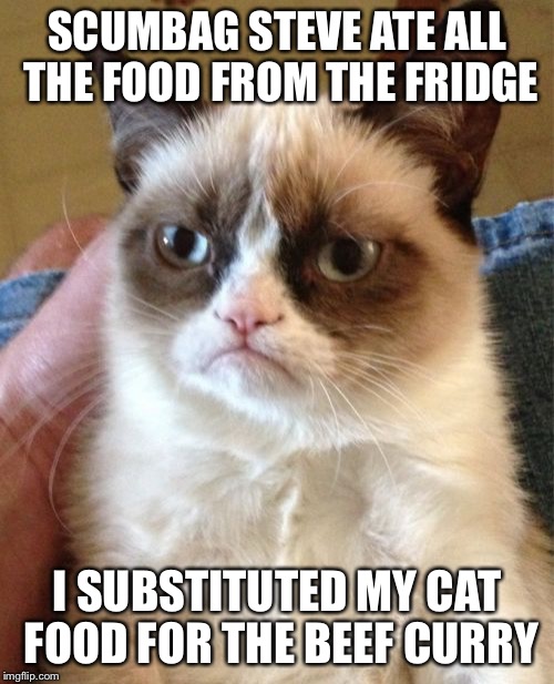 Grumpy Cat Meme | SCUMBAG STEVE ATE ALL THE FOOD FROM THE FRIDGE I SUBSTITUTED MY CAT FOOD FOR THE BEEF CURRY | image tagged in memes,grumpy cat | made w/ Imgflip meme maker