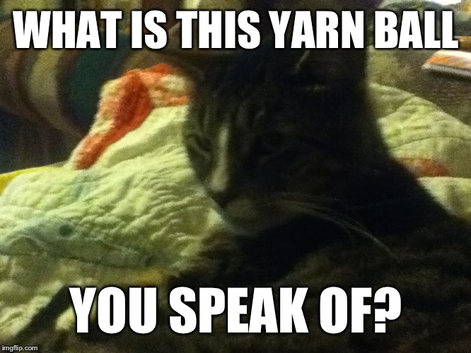 WHAT IS THIS YARN BALL YOU SPEAK OF? | image tagged in my cat 2 | made w/ Imgflip meme maker