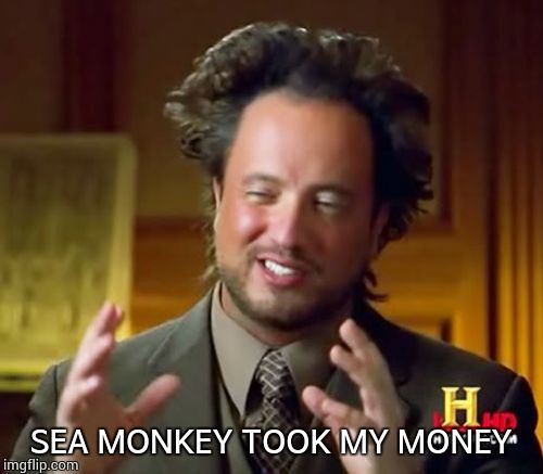 Ancient Aliens | SEA MONKEY TOOK MY MONEY | image tagged in memes,ancient aliens | made w/ Imgflip meme maker