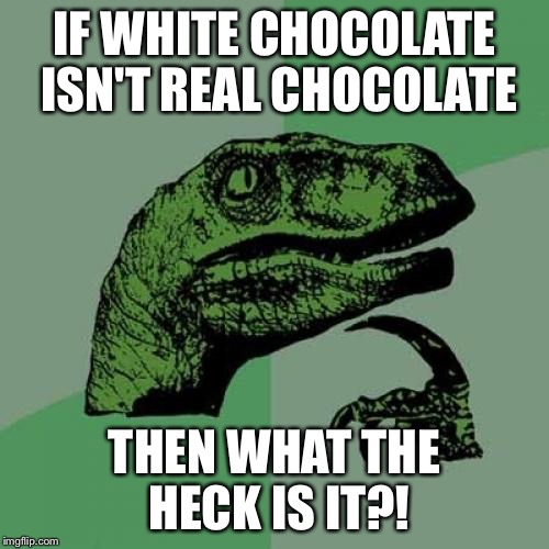 Philosoraptor Meme | IF WHITE CHOCOLATE ISN'T REAL CHOCOLATE THEN WHAT THE HECK IS IT?! | image tagged in memes,philosoraptor | made w/ Imgflip meme maker