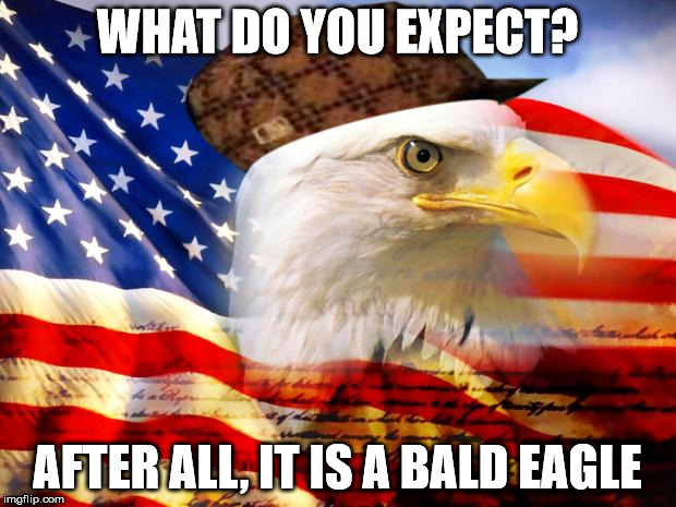 Band-Aid solutions. How we really fix problems in this country. | WHAT DO YOU EXPECT? AFTER ALL, IT IS A BALD EAGLE | image tagged in scumbag america,memes | made w/ Imgflip meme maker