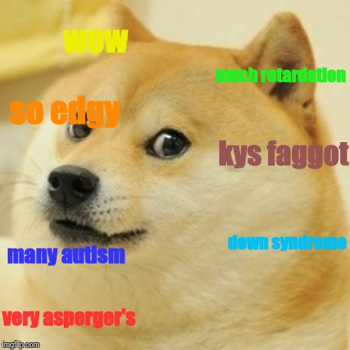 Doge Meme | wow much retardation many autism very asperger's down syndrome so edgy kys f*ggot | image tagged in memes,doge | made w/ Imgflip meme maker