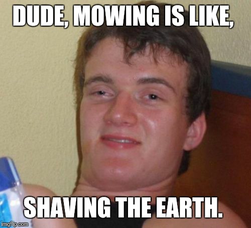 Shaving  | DUDE, MOWING IS LIKE, SHAVING THE EARTH. | image tagged in memes,10 guy | made w/ Imgflip meme maker