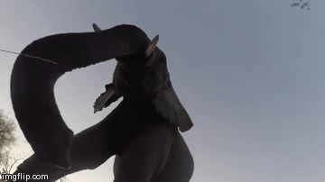 I said no pictures... | image tagged in gifs,elephant | made w/ Imgflip video-to-gif maker