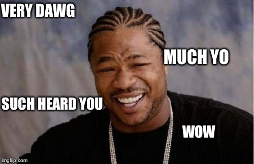 Yo Dawg Heard You Meme | VERY DAWG MUCH YO SUCH HEARD YOU WOW | image tagged in memes,yo dawg heard you | made w/ Imgflip meme maker