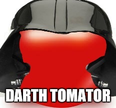 Darth Tomator | DARTH TOMATOR | image tagged in star wars,darth vader,funny memes,memes | made w/ Imgflip meme maker