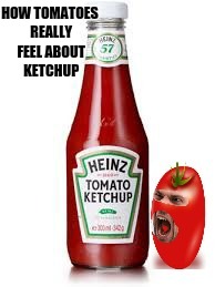 Ketchup is tomatoes blood | HOW TOMATOES REALLY FEEL ABOUT KETCHUP | image tagged in tomato,food,funny memes,comedy | made w/ Imgflip meme maker