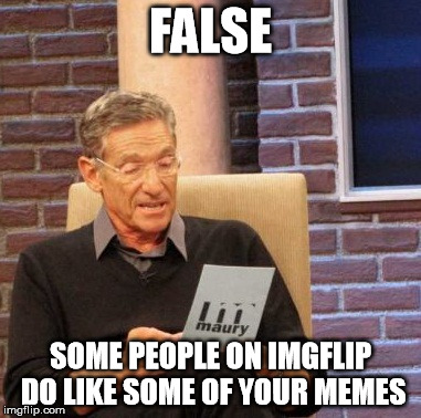 Maury Lie Detector Meme | FALSE SOME PEOPLE ON IMGFLIP DO LIKE SOME OF YOUR MEMES | image tagged in memes,maury lie detector | made w/ Imgflip meme maker