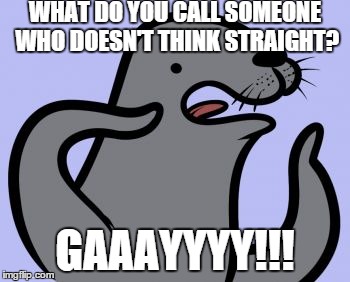 Sorry but it's torturing my mind | WHAT DO YOU CALL SOMEONE WHO DOESN'T THINK STRAIGHT? GAAAYYYY!!! | image tagged in memes,homophobic seal | made w/ Imgflip meme maker