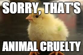 chick | SORRY, THAT'S ANIMAL CRUELTY | image tagged in chick | made w/ Imgflip meme maker
