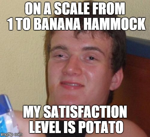 after causing a 90's music relapse | ON A SCALE FROM 1 TO BANANA HAMMOCK MY SATISFACTION LEVEL IS POTATO | image tagged in memes,10 guy | made w/ Imgflip meme maker