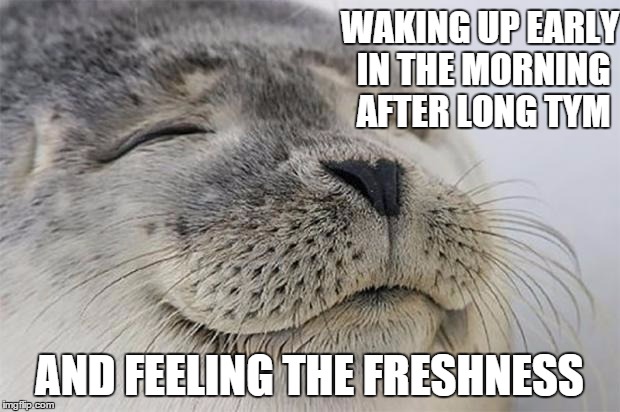 Satisfied Seal | WAKING UP EARLY IN THE MORNING AFTER LONG TYM AND FEELING THE FRESHNESS | image tagged in memes,satisfied seal | made w/ Imgflip meme maker