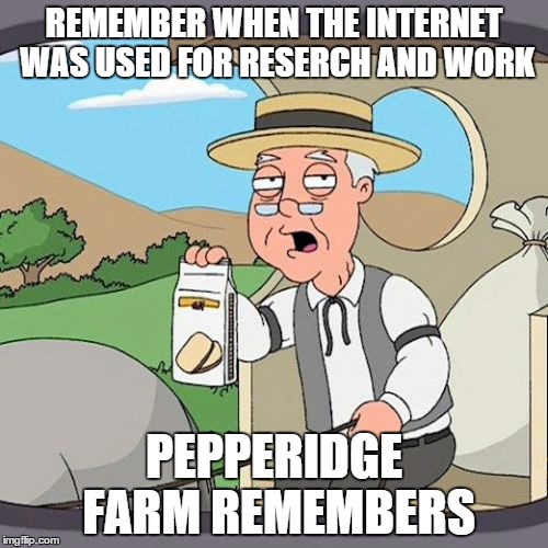 Pepperidge Farm Remembers | REMEMBER WHEN THE INTERNET WAS USED FOR RESERCH AND WORK PEPPERIDGE FARM REMEMBERS | image tagged in memes,pepperidge farm remembers | made w/ Imgflip meme maker