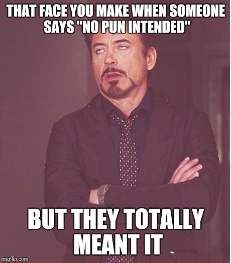 Face You Make Robert Downey Jr | THAT FACE YOU MAKE WHEN SOMEONE SAYS "NO PUN INTENDED" BUT THEY TOTALLY MEANT IT | image tagged in memes,face you make robert downey jr | made w/ Imgflip meme maker