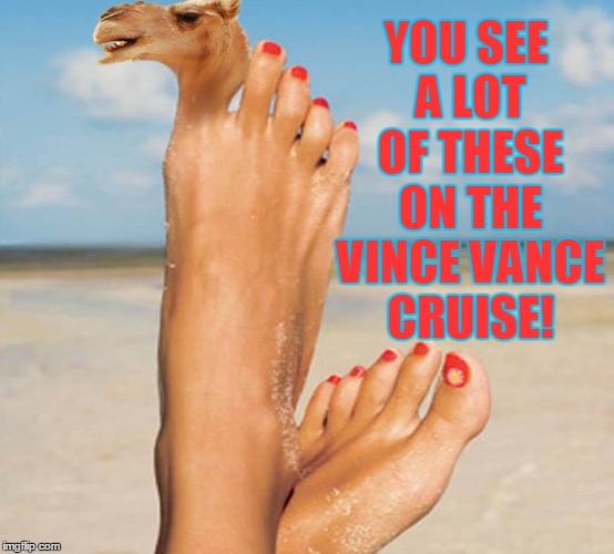The Real Camel Toe | YOU SEE A LOT OF THESE ON THE VINCE VANCE CRUISE! | image tagged in vince vance,camel toe,a foot with a camel's head | made w/ Imgflip meme maker
