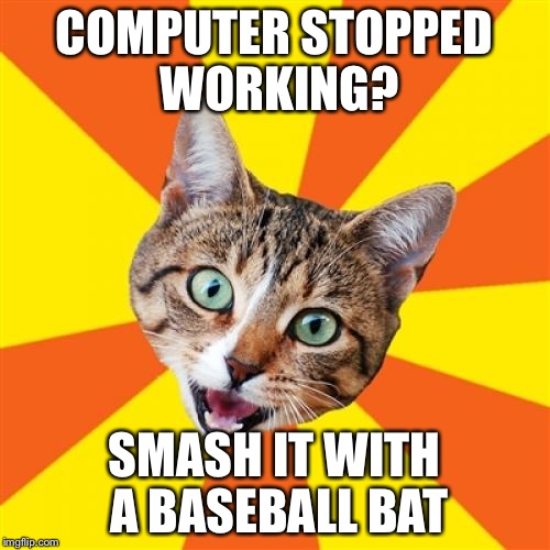 Bad Advice Cat | COMPUTER STOPPED WORKING? SMASH IT WITH A BASEBALL BAT | image tagged in memes,bad advice cat | made w/ Imgflip meme maker
