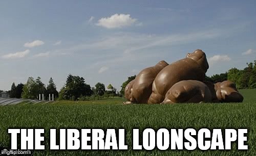 THE LIBERAL LOONSCAPE | image tagged in liberal wisdom,liberal,poop | made w/ Imgflip meme maker