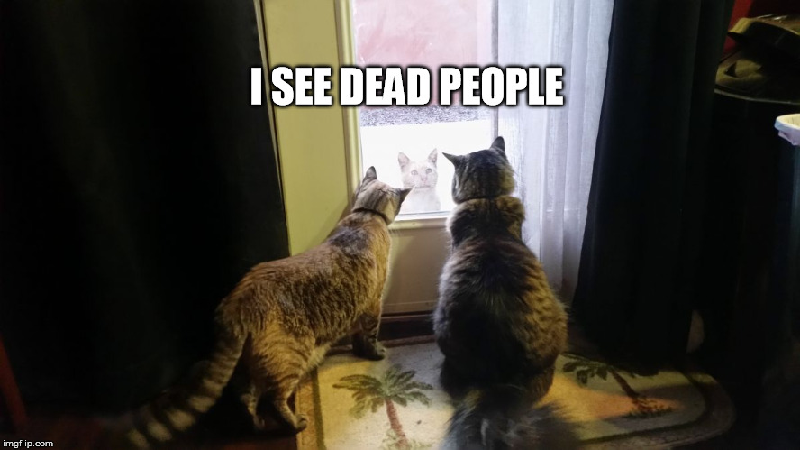 I SEE DEAD PEOPLE | image tagged in deadpeople,funny | made w/ Imgflip meme maker