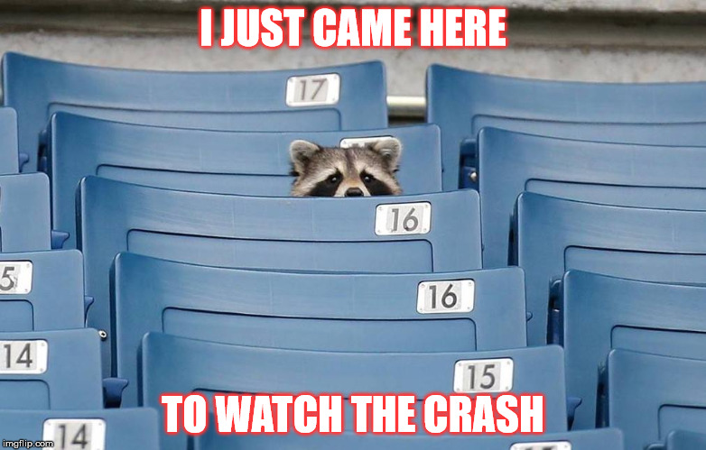 I JUST CAME HERE TO WATCH THE CRASH | image tagged in funny | made w/ Imgflip meme maker