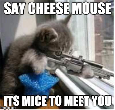 cats with guns | SAY CHEESE MOUSE ITS MICE TO MEET YOU | image tagged in cats with guns | made w/ Imgflip meme maker