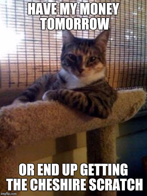 cats | HAVE MY MONEY TOMORROW OR END UP GETTING THE CHESHIRE SCRATCH | image tagged in cats | made w/ Imgflip meme maker