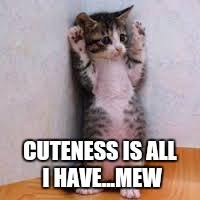 Cats  | CUTENESS IS ALL I HAVE...MEW | image tagged in cats | made w/ Imgflip meme maker