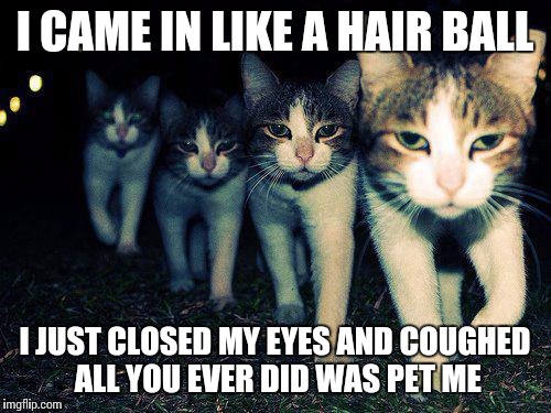Wrong Neighboorhood Cats Meme | I CAME IN LIKE A HAIR BALL I JUST CLOSED MY EYES AND COUGHED ALL YOU EVER DID WAS PET ME | image tagged in memes,wrong neighboorhood cats | made w/ Imgflip meme maker
