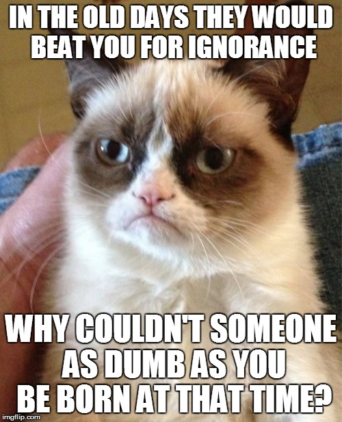 Grumpy Cat Meme | IN THE OLD DAYS THEY WOULD BEAT YOU FOR IGNORANCE WHY COULDN'T SOMEONE AS DUMB AS YOU BE BORN AT THAT TIME? | image tagged in memes,grumpy cat | made w/ Imgflip meme maker