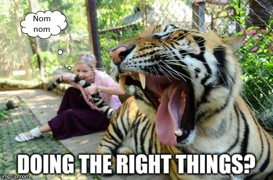 Nom | image tagged in doing it wrong,tiger | made w/ Imgflip meme maker