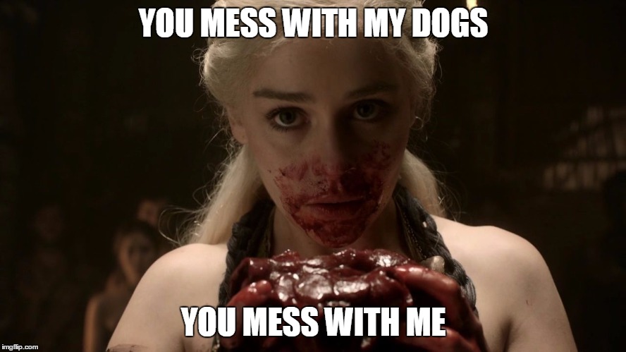 Dangerous Dog Mom | YOU MESS WITH MY DOGS YOU MESS WITH ME | image tagged in dangerous,dogs | made w/ Imgflip meme maker