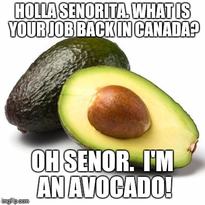 Avocado Guilt | HOLLA SENORITA. WHAT IS YOUR JOB BACK IN CANADA? OH SENOR.  I'M AN AVOCADO! | image tagged in avocado guilt | made w/ Imgflip meme maker