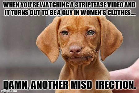 Dissapointed puppy | WHEN YOU'RE WATCHING A STRIPTEASE VIDEO AND IT TURNS OUT TO BE A GUY IN WOMEN'S CLOTHES.... DAMN, ANOTHER MISD  IRECTION. | image tagged in dissapointed puppy | made w/ Imgflip meme maker