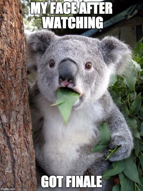Surprised Koala | MY FACE AFTER WATCHING GOT FINALE | image tagged in memes,surprised koala | made w/ Imgflip meme maker