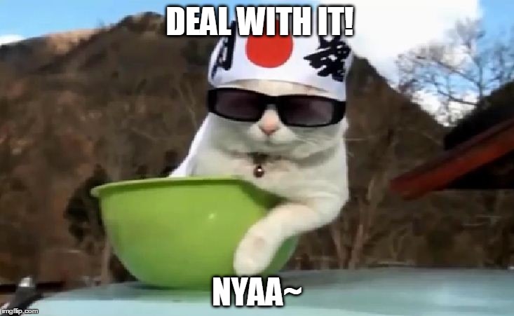 deal with it Neko | DEAL WITH IT! NYAA~ | image tagged in cats,deal with it | made w/ Imgflip meme maker