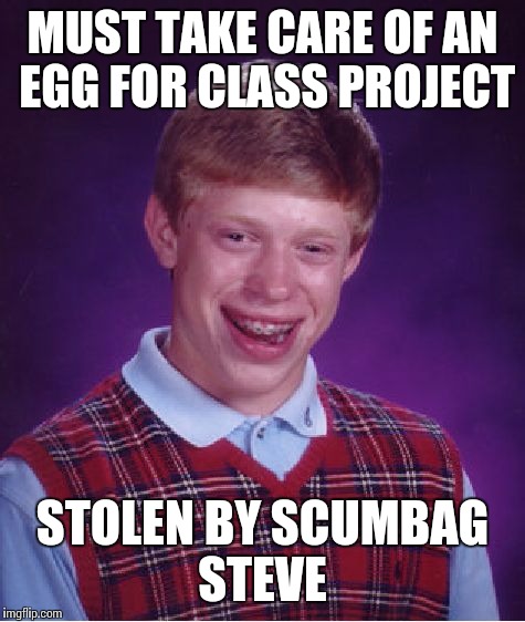 Bad Luck Brian Meme | MUST TAKE CARE OF AN EGG FOR CLASS PROJECT STOLEN BY SCUMBAG STEVE | image tagged in memes,bad luck brian | made w/ Imgflip meme maker