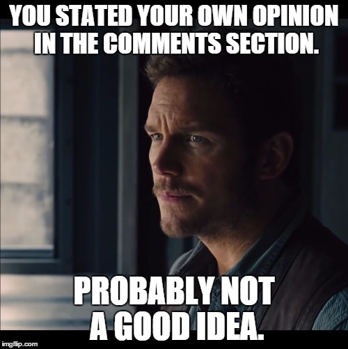 Please can we make this a real meme. | YOU STATED YOUR OWN OPINION IN THE COMMENTS SECTION. PROBABLY NOT A GOOD IDEA. | image tagged in probably not a good idea,memes,chris pratt,comments,jurassic world | made w/ Imgflip meme maker