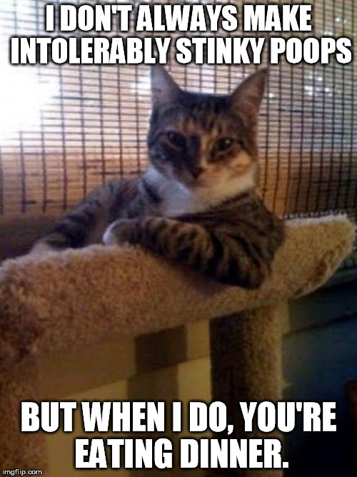 The Most Interesting Cat In The World Meme | I DON'T ALWAYS MAKE INTOLERABLY STINKY POOPS BUT WHEN I DO, YOU'RE EATING DINNER. | image tagged in memes,the most interesting cat in the world | made w/ Imgflip meme maker