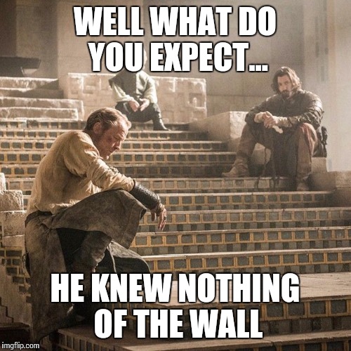 Snow-one wanted that to happen... | WELL WHAT DO YOU EXPECT... HE KNEW NOTHING OF THE WALL | image tagged in game of thrones--the album | made w/ Imgflip meme maker