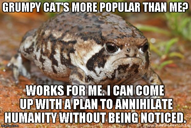 Grumpy Toad | GRUMPY CAT'S MORE POPULAR THAN ME? WORKS FOR ME. I CAN COME UP WITH A PLAN TO ANNIHILATE HUMANITY WITHOUT BEING NOTICED. | image tagged in memes,grumpy toad | made w/ Imgflip meme maker