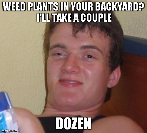 10 Guy Meme | WEED PLANTS IN YOUR BACKYARD? I'LL TAKE A COUPLE DOZEN | image tagged in memes,10 guy | made w/ Imgflip meme maker