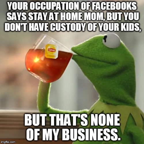 But That's None Of My Business | YOUR OCCUPATION OF FACEBOOKS SAYS STAY AT HOME MOM, BUT YOU DON'T HAVE CUSTODY OF YOUR KIDS, BUT THAT'S NONE OF MY BUSINESS. | image tagged in memes,but thats none of my business,kermit the frog | made w/ Imgflip meme maker