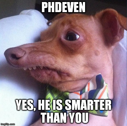 Tuna the dog (Phteven) | PHDEVEN YES, HE IS SMARTER THAN YOU | image tagged in tuna the dog phteven | made w/ Imgflip meme maker