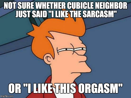 Futurama Fry | NOT SURE WHETHER CUBICLE NEIGHBOR JUST SAID "I LIKE THE SARCASM" OR "I LIKE THIS ORGASM" | image tagged in memes,futurama fry | made w/ Imgflip meme maker